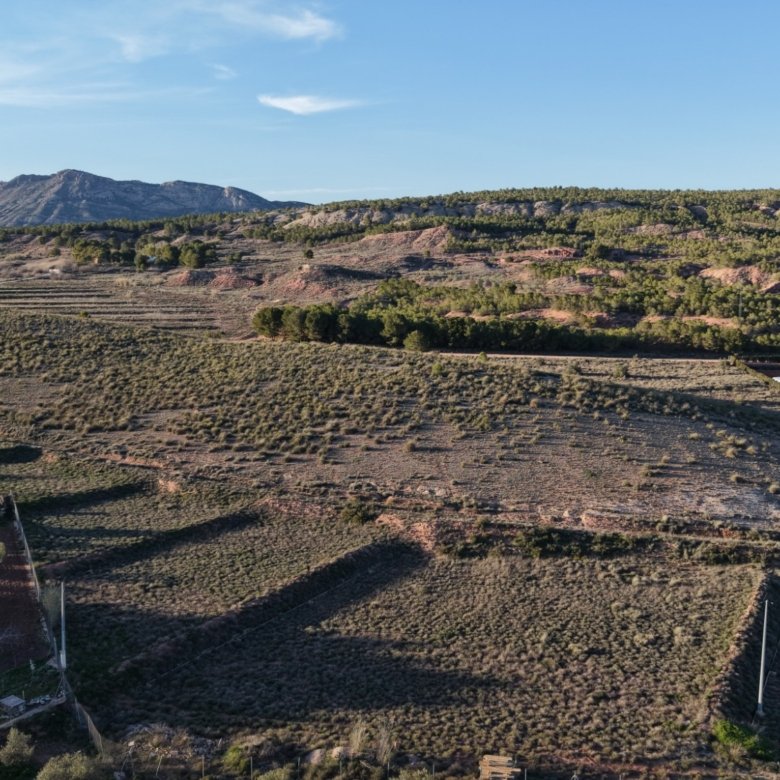41,630 m² Land in Yecla - Caza De Casa