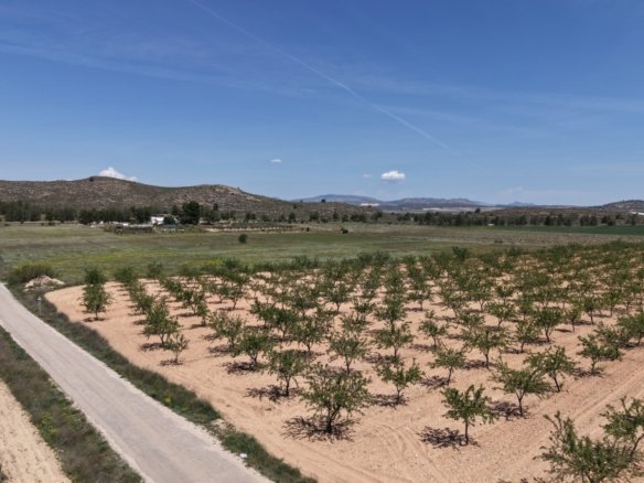 38,802 m² Land in Yecla - Caza De Casa