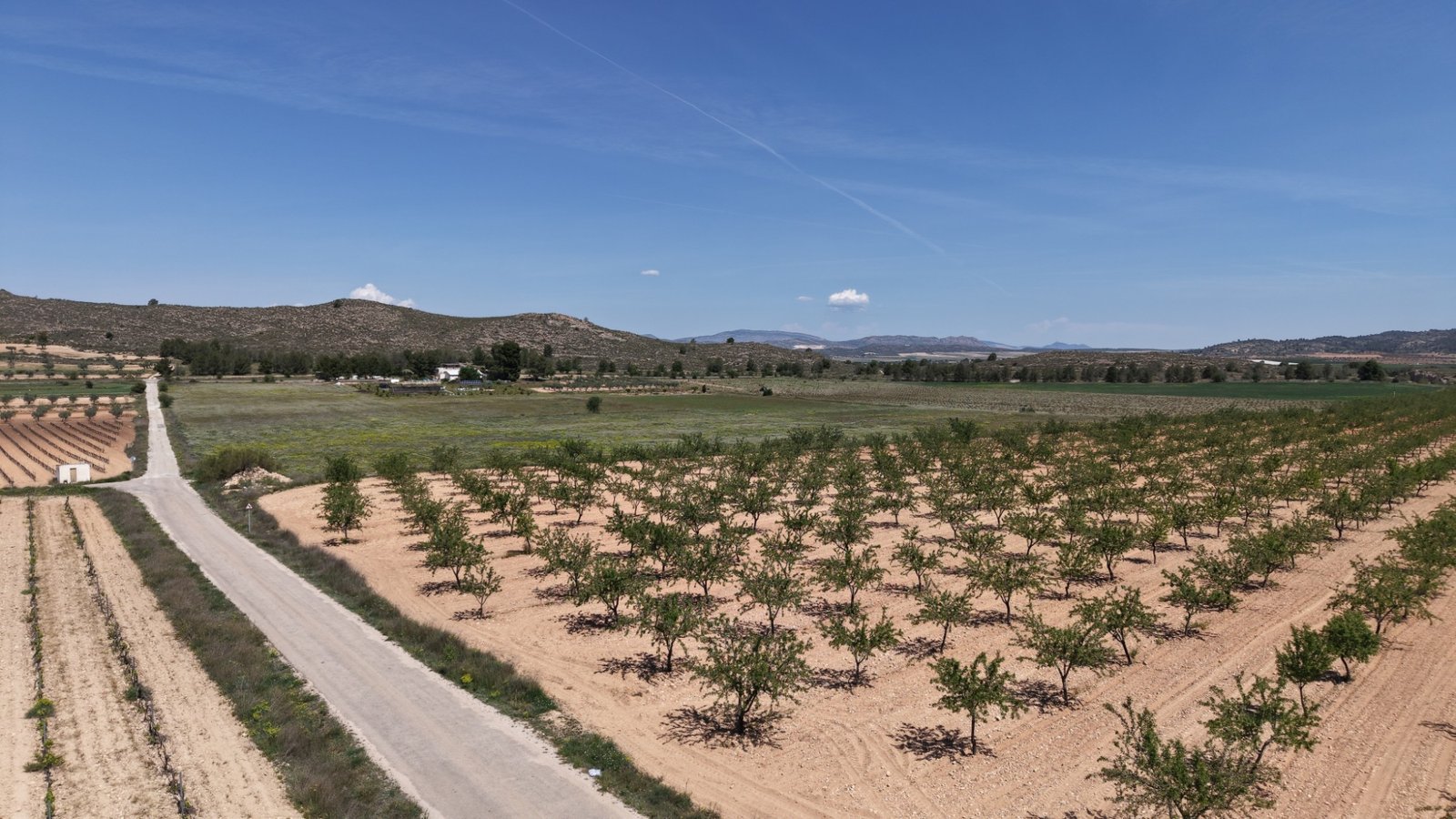 default 38,802 m² Land in Yecla - Caza De Casa