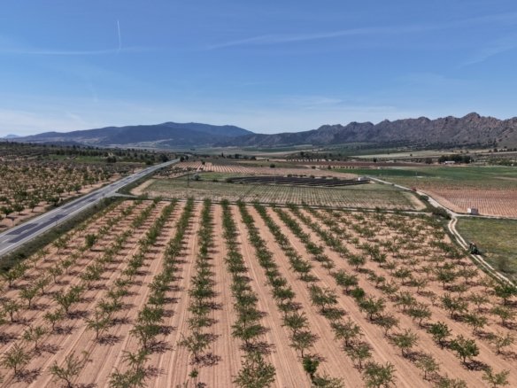 38,802 m² Land in Yecla - Caza De Casa