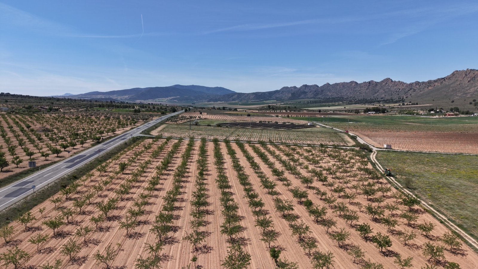 default 38,802 m² Land in Yecla - Caza De Casa
