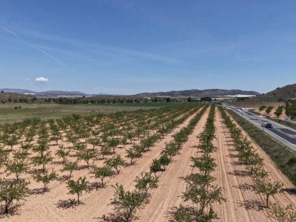 38,802 m² Land in Yecla - Caza De Casa