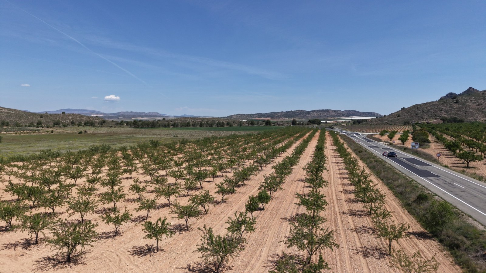 default 38,802 m² Land in Yecla - Caza De Casa