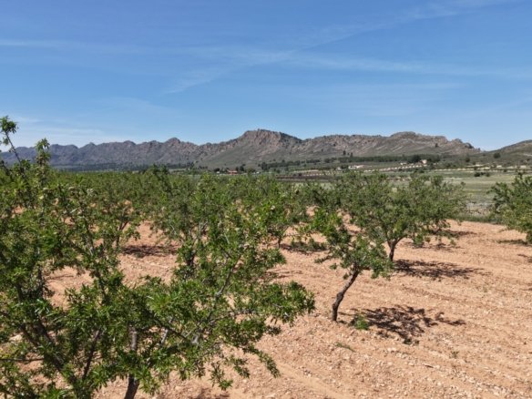 38,802 m² Land in Yecla - Caza De Casa