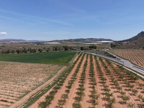 38,802 m² Land in Yecla - Caza De Casa