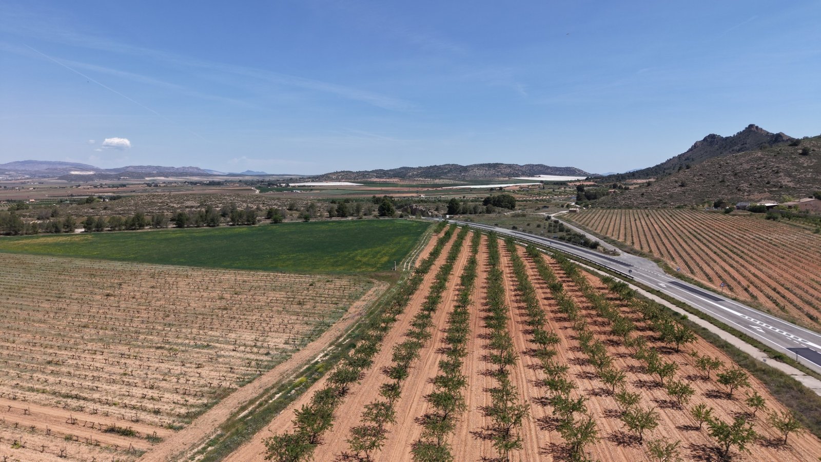 default 38,802 m² Land in Yecla - Caza De Casa