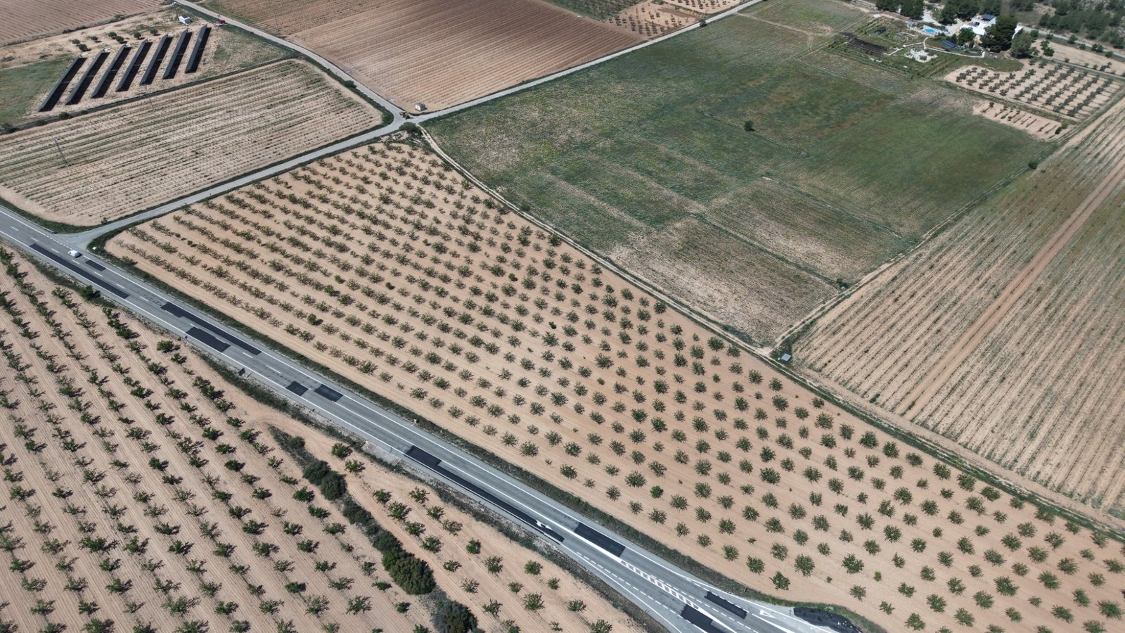 default 38,802 m² Land in Yecla - Caza De Casa