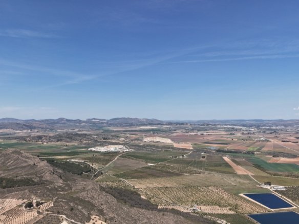 38,802 m² Land in Yecla - Caza De Casa