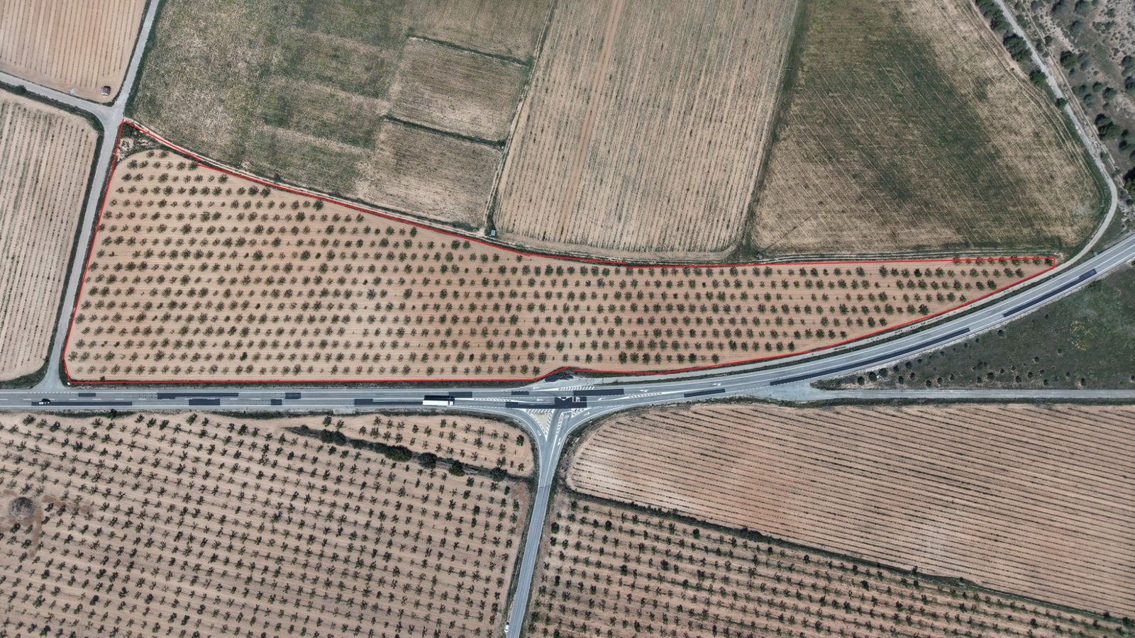 default 38,802 m² Land in Yecla - Caza De Casa