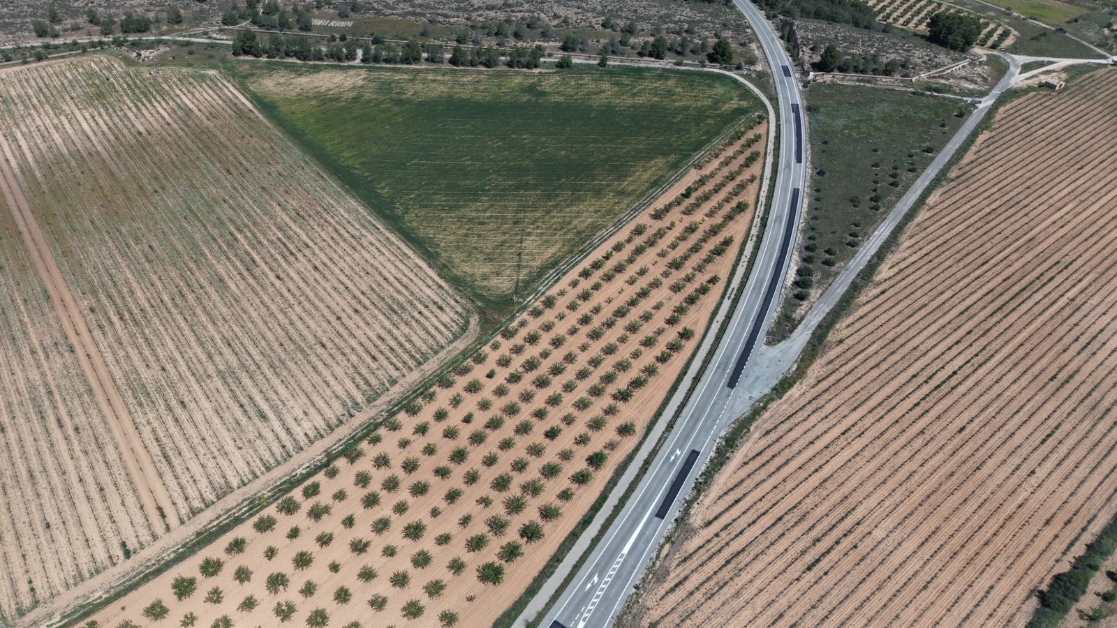 default 38,802 m² Land in Yecla - Caza De Casa