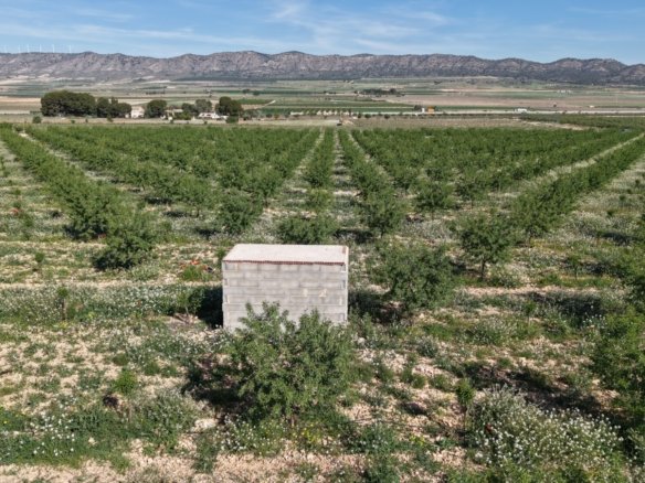 21,625 m² Land in Yecla - Caza De Casa