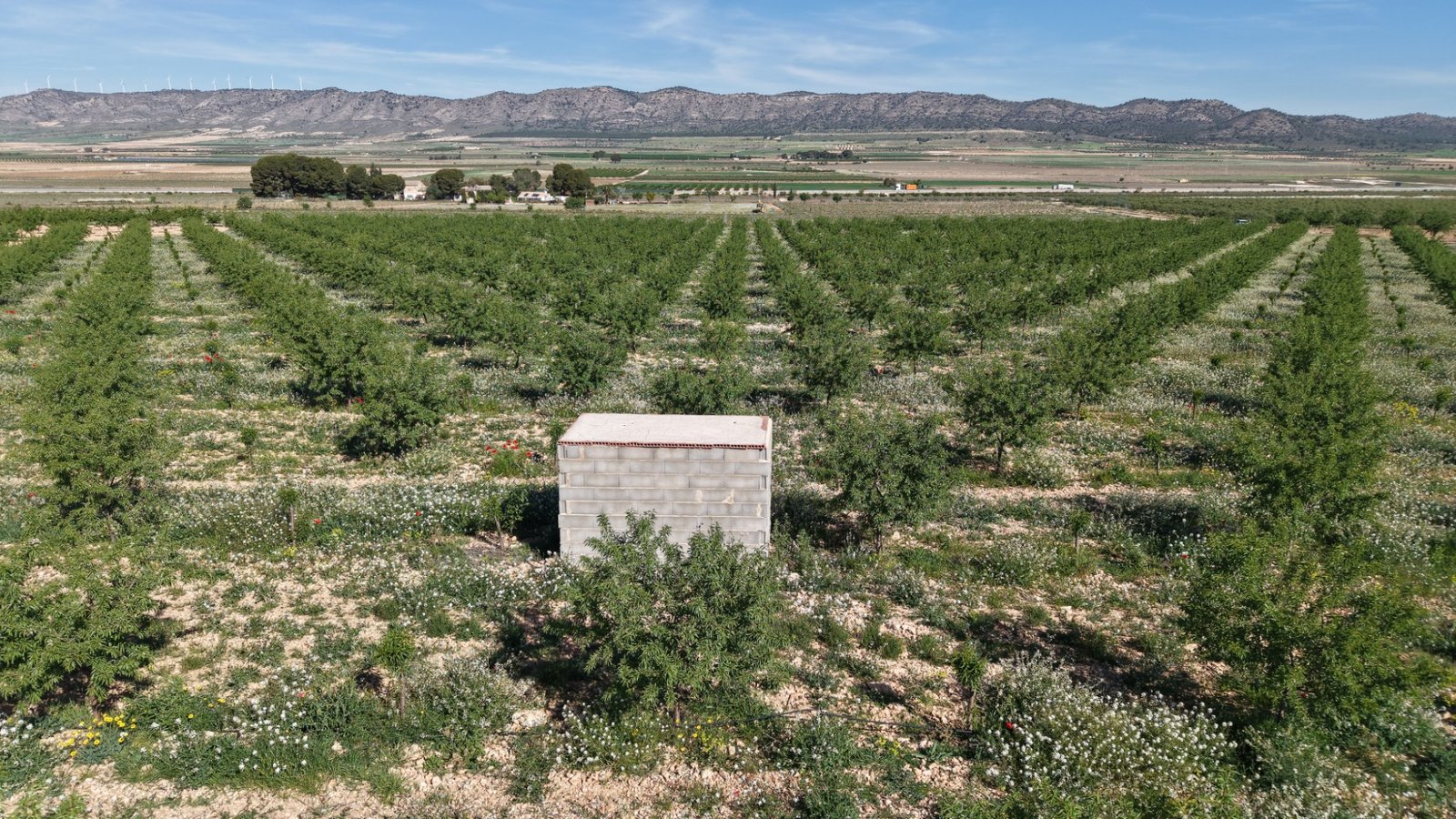 21,625 m² Land in Yecla - Caza De Casa