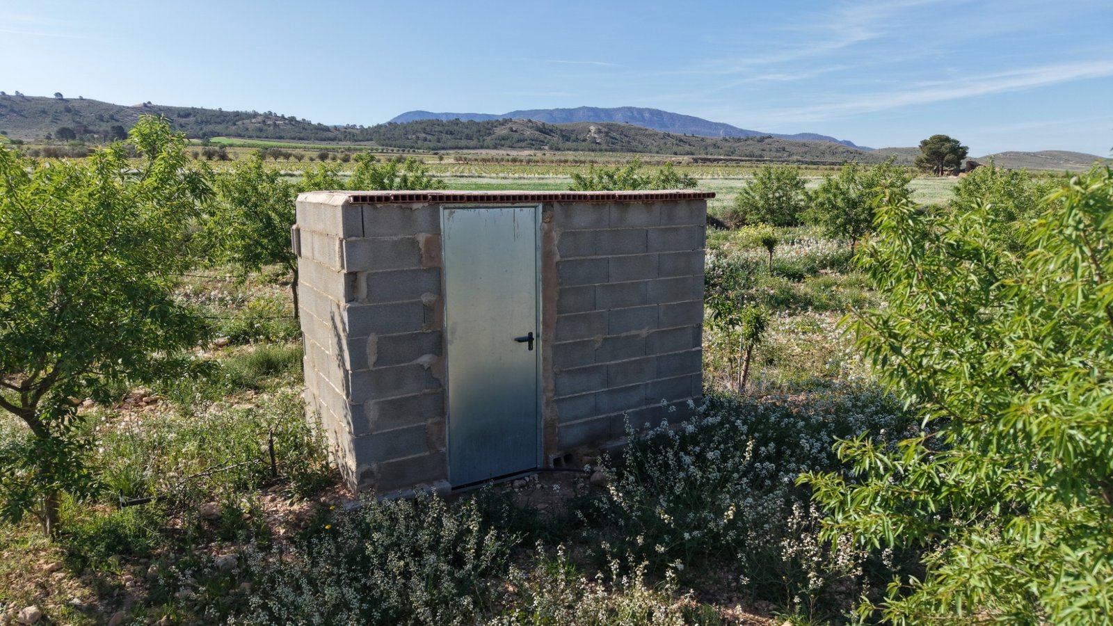 21,625 m² Land in Yecla - Caza De Casa