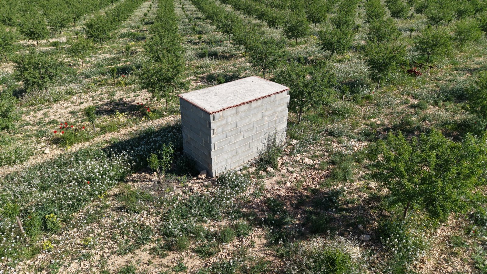 21,625 m² Land in Yecla - Caza De Casa