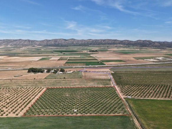 21,625 m² Land in Yecla - Caza De Casa
