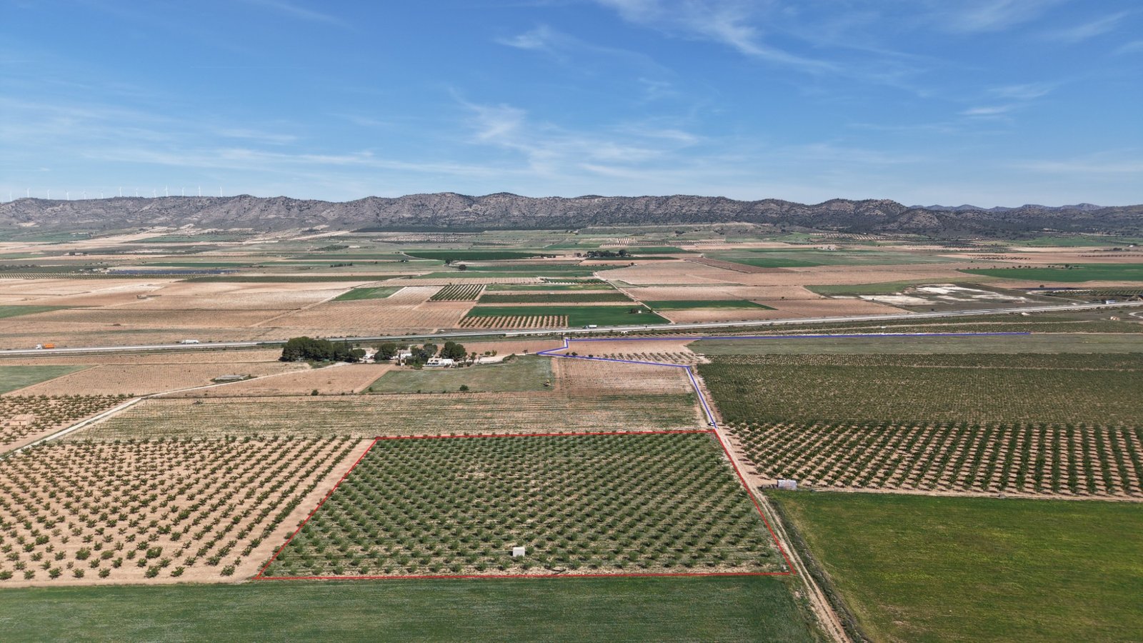21,625 m² Land in Yecla - Caza De Casa