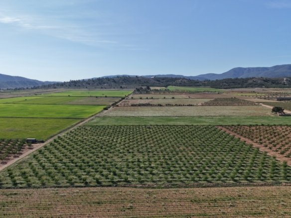 21,625 m² Land in Yecla - Caza De Casa