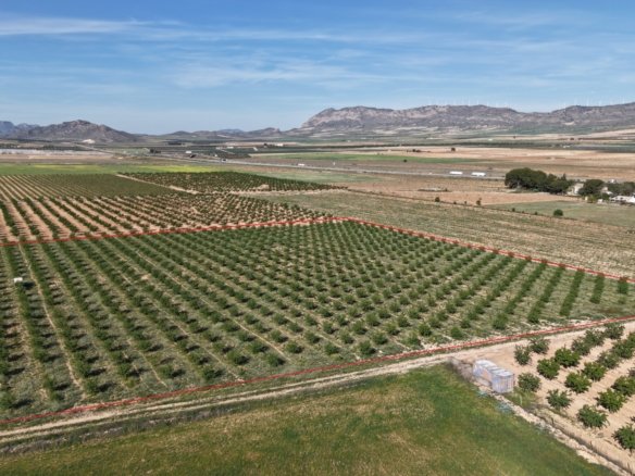 21,625 m² Land in Yecla - Caza De Casa