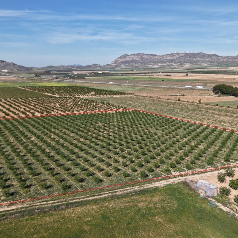 21,625 m² Land in Yecla - Caza De Casa