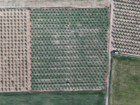 21,625 m² Land in Yecla - Caza De Casa