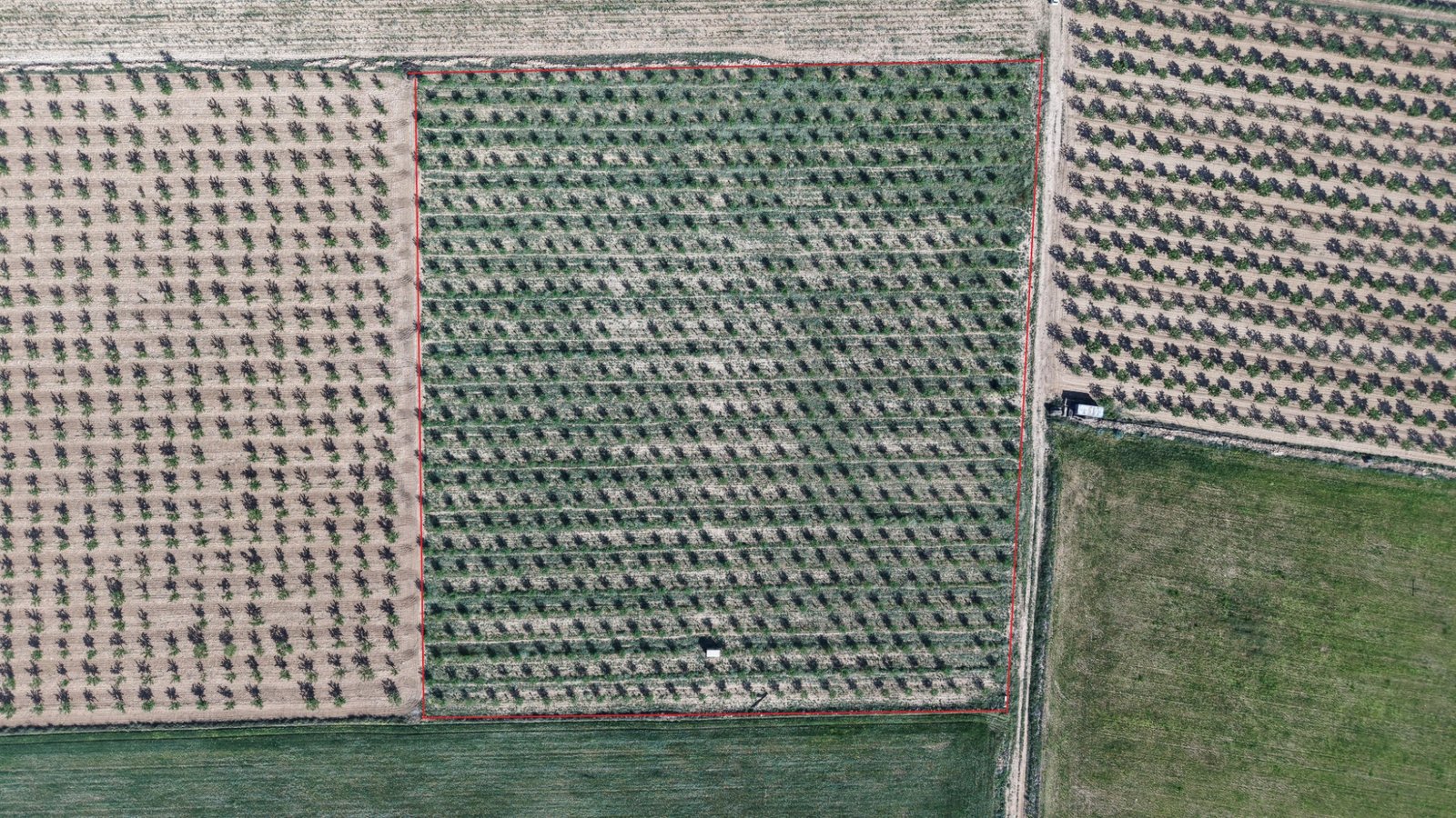 21,625 m² Land in Yecla - Caza De Casa