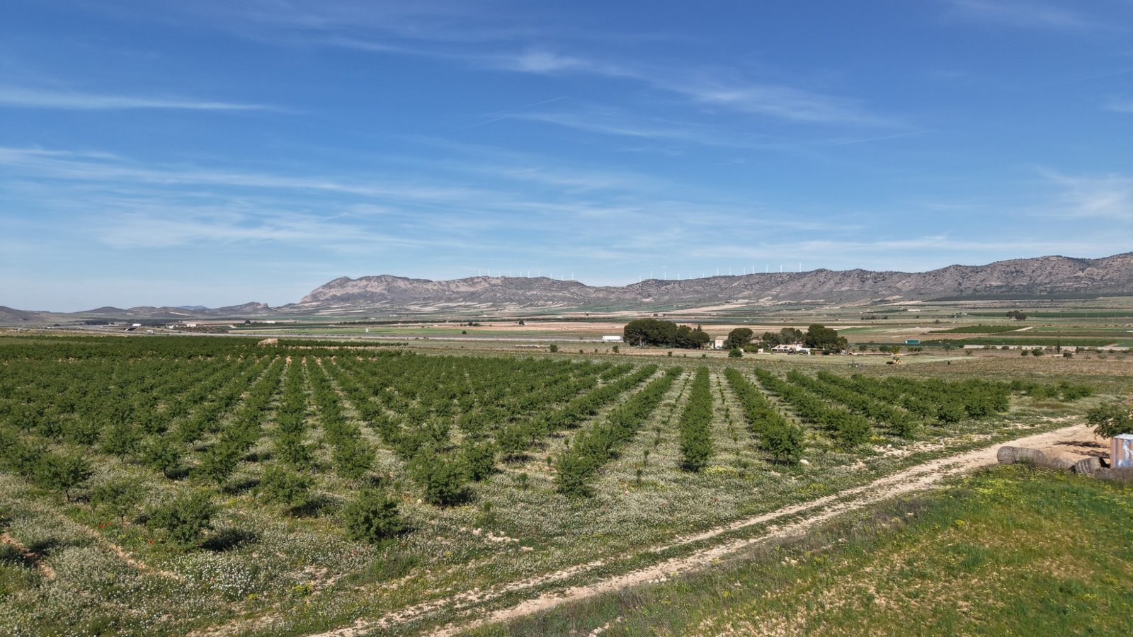 21,625 m² Land in Yecla - Caza De Casa