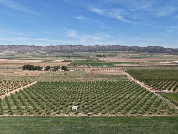 21,625 m² Land in Yecla - Caza De Casa