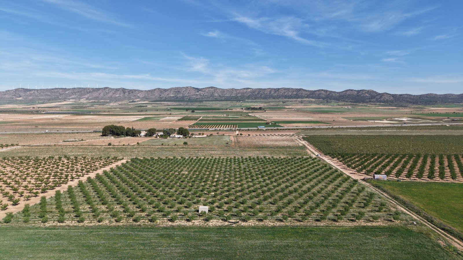 21,625 m² Land in Yecla - Caza De Casa