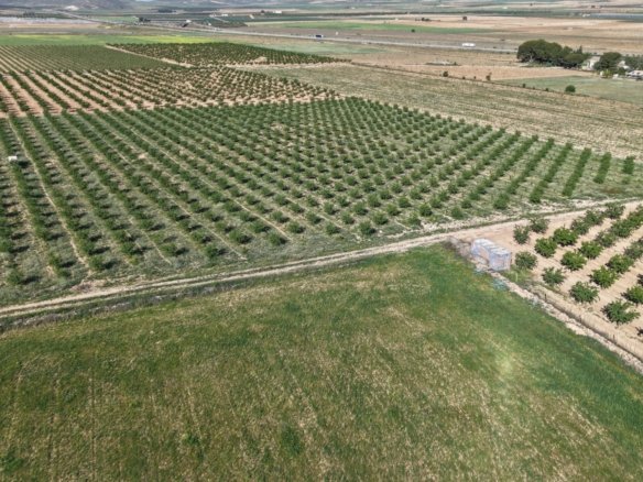21,625 m² Land in Yecla - Caza De Casa