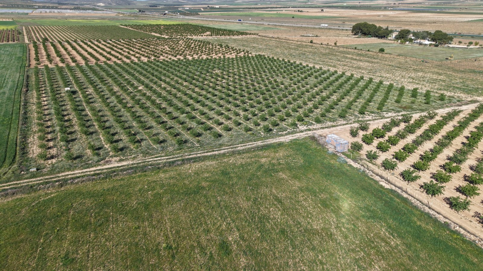 21,625 m² Land in Yecla - Caza De Casa