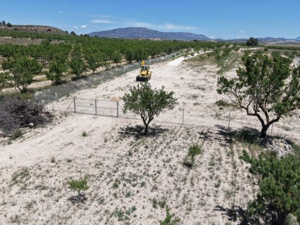 17,589 m² Land in Pinoso - Caza De Casa