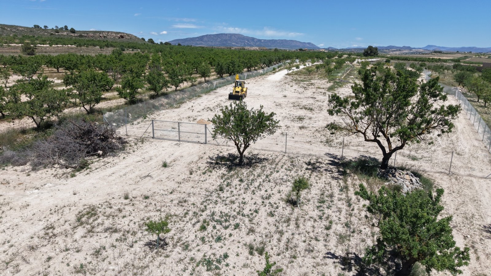 17,589 m² Land in Pinoso - Caza De Casa