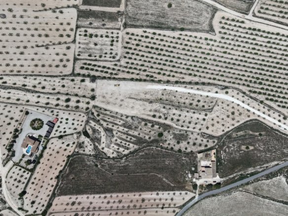17,589 m² Land in Pinoso - Caza De Casa