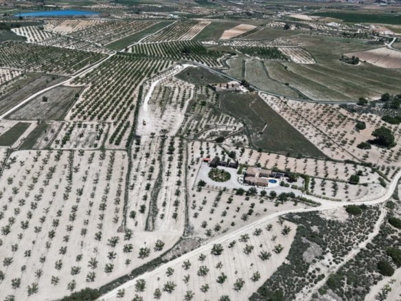 17,589 m² Land in Pinoso - Caza De Casa