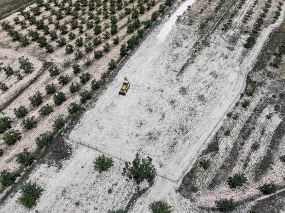 17,589 m² Land in Pinoso - Caza De Casa