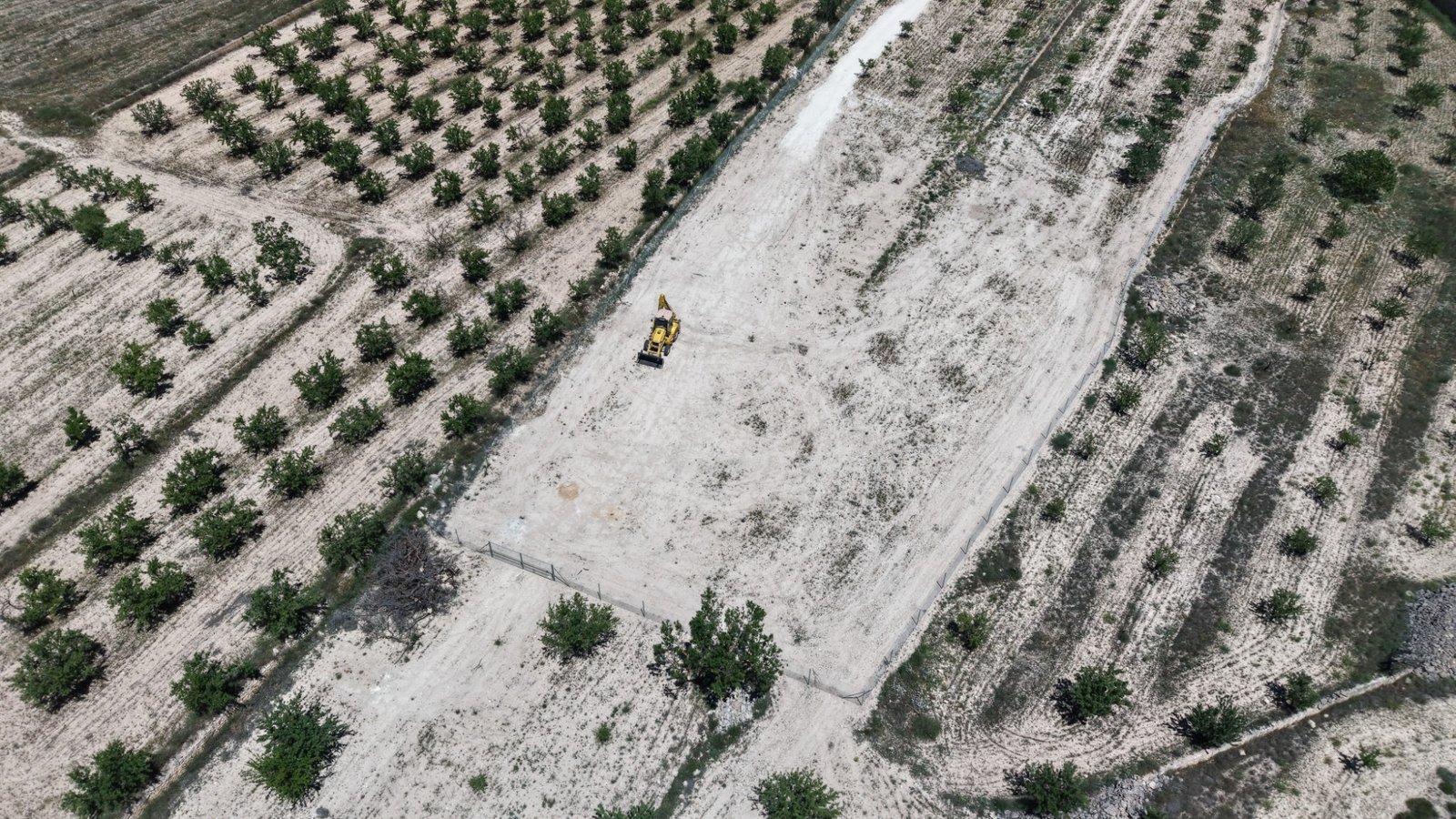 17,589 m² Land in Pinoso - Caza De Casa