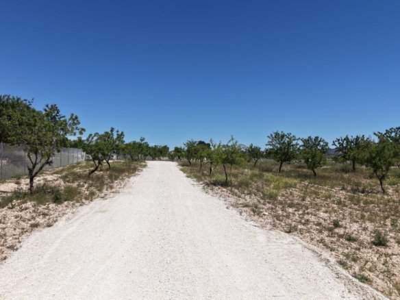17,589 m² Land in Pinoso - Caza De Casa