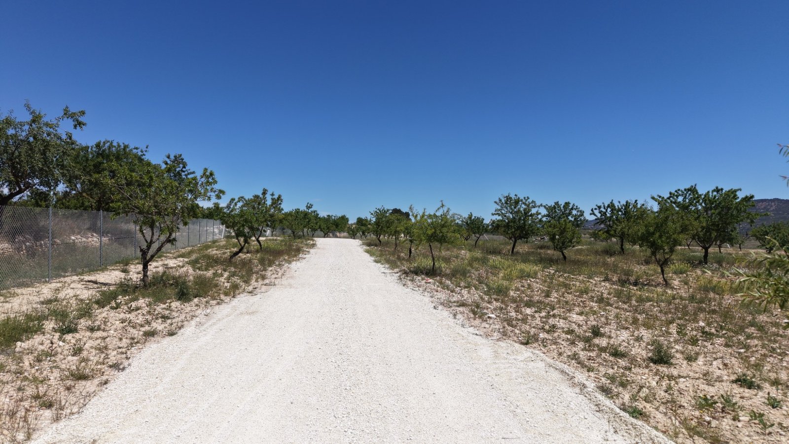 17,589 m² Land in Pinoso - Caza De Casa