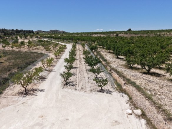 17,589 m² Land in Pinoso - Caza De Casa