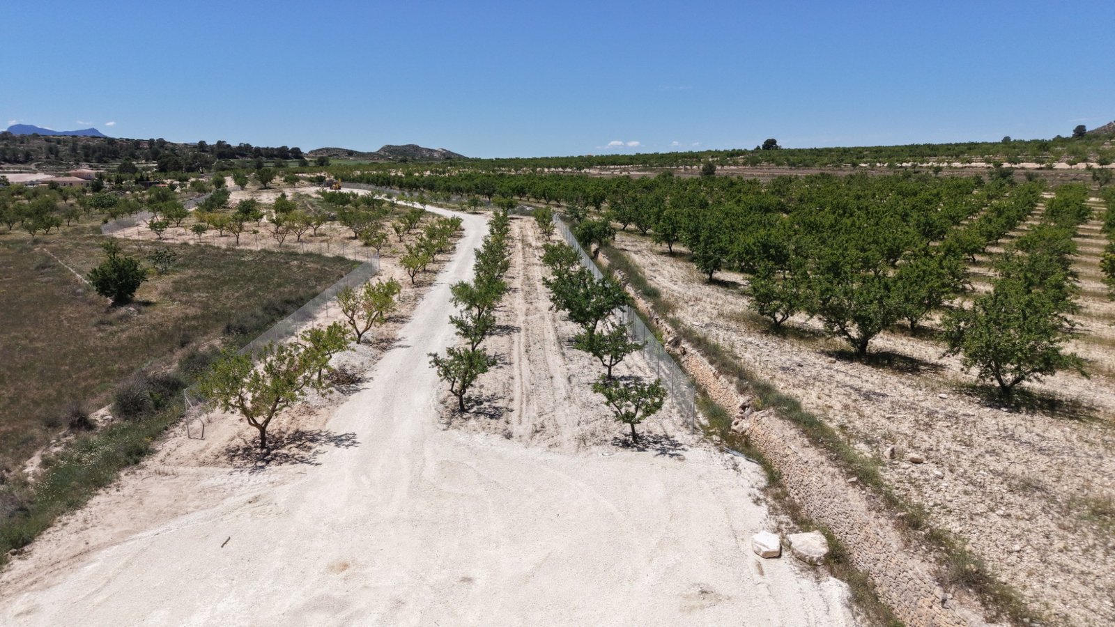 17,589 m² Land in Pinoso - Caza De Casa