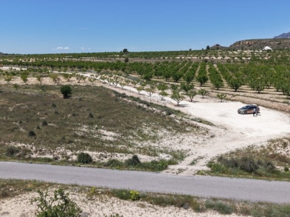 17,589 m² Land in Pinoso - Caza De Casa