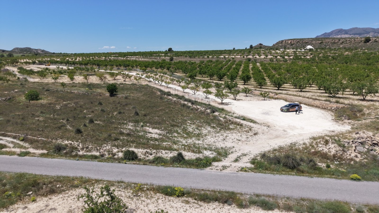 17,589 m² Land in Pinoso - Caza De Casa