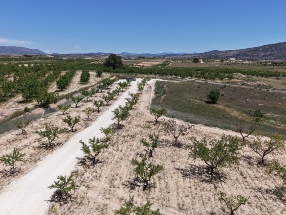 17,589 m² Land in Pinoso - Caza De Casa