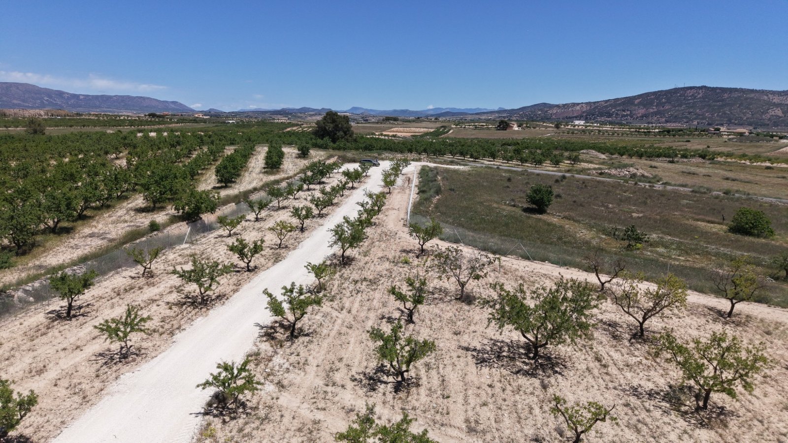 17,589 m² Land in Pinoso - Caza De Casa