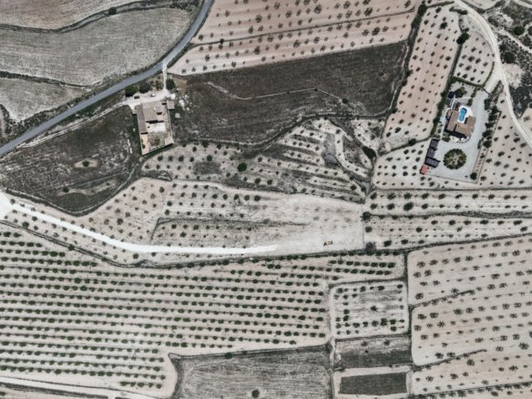 17,589 m² Land in Pinoso - Caza De Casa