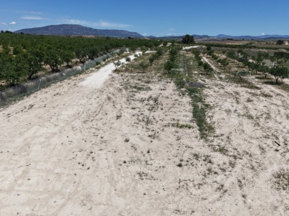 17,589 m² Land in Pinoso - Caza De Casa