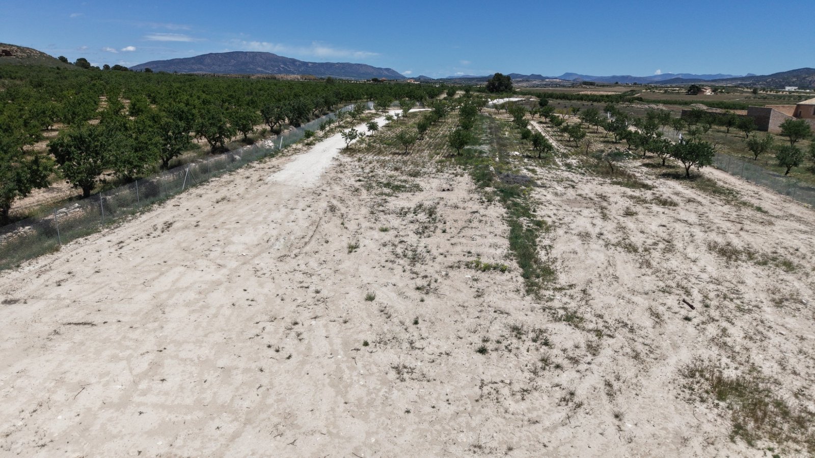 17,589 m² Land in Pinoso - Caza De Casa