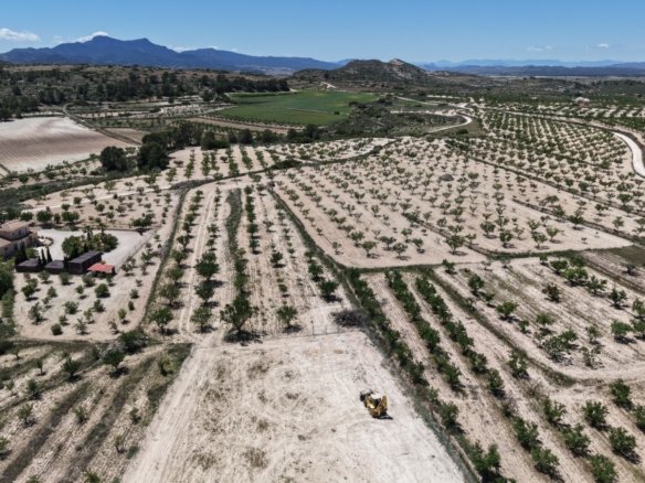 17,589 m² Land in Pinoso - Caza De Casa