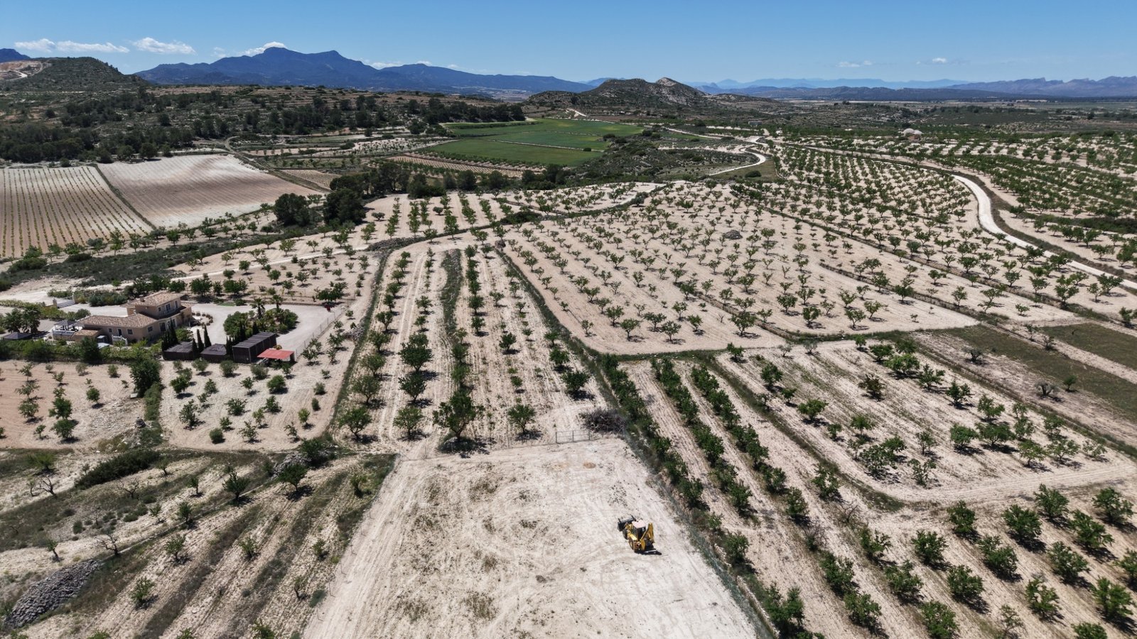 17,589 m² Land in Pinoso - Caza De Casa