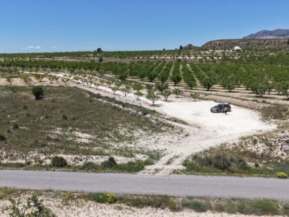 17,589 m² Land in Pinoso - Caza De Casa